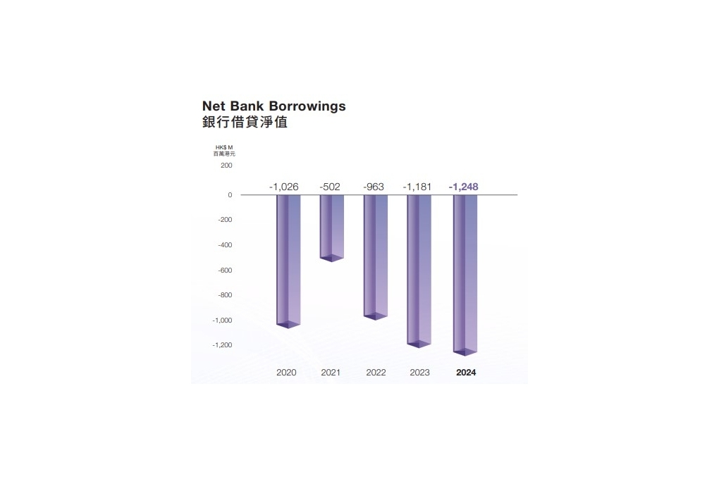 2024 Net Bank Borrrowings